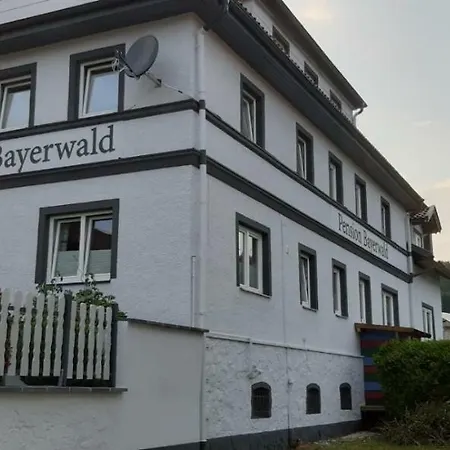 Penzion Bayerwald 3*