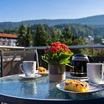 Πανσιόν Bayerwald Mit 3*