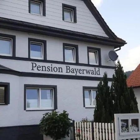 Bayerwald Mit 3* بودنمايس