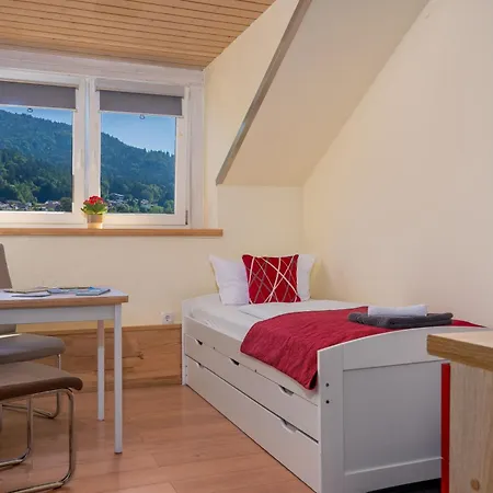 Pensionat Bayerwald Mit