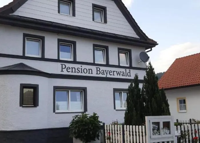 Bayerwald Mit 3* Bodenmais